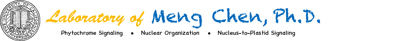 Laboratory of Meng Chen @ UC Riverside Logo
